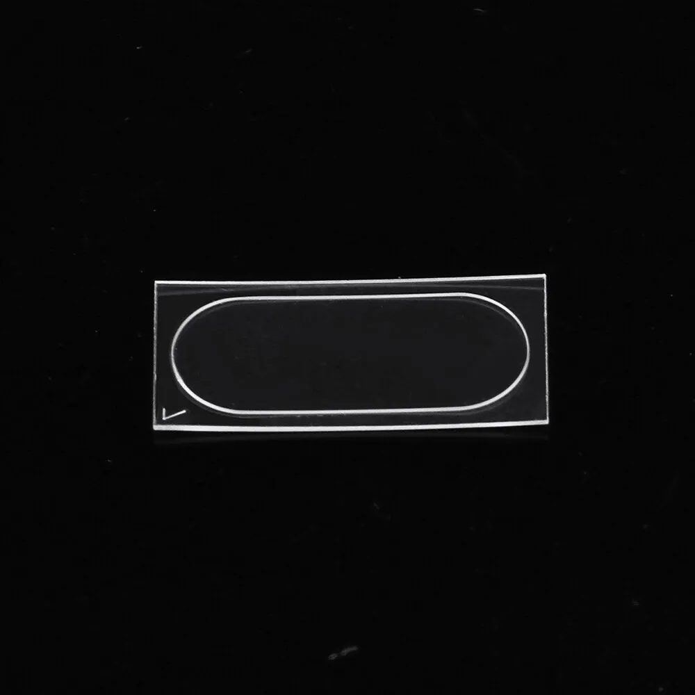 2 PCS Camera Lens Protector Soft Tempered Glass Rear Camera Lens for ZTE Nubia V18