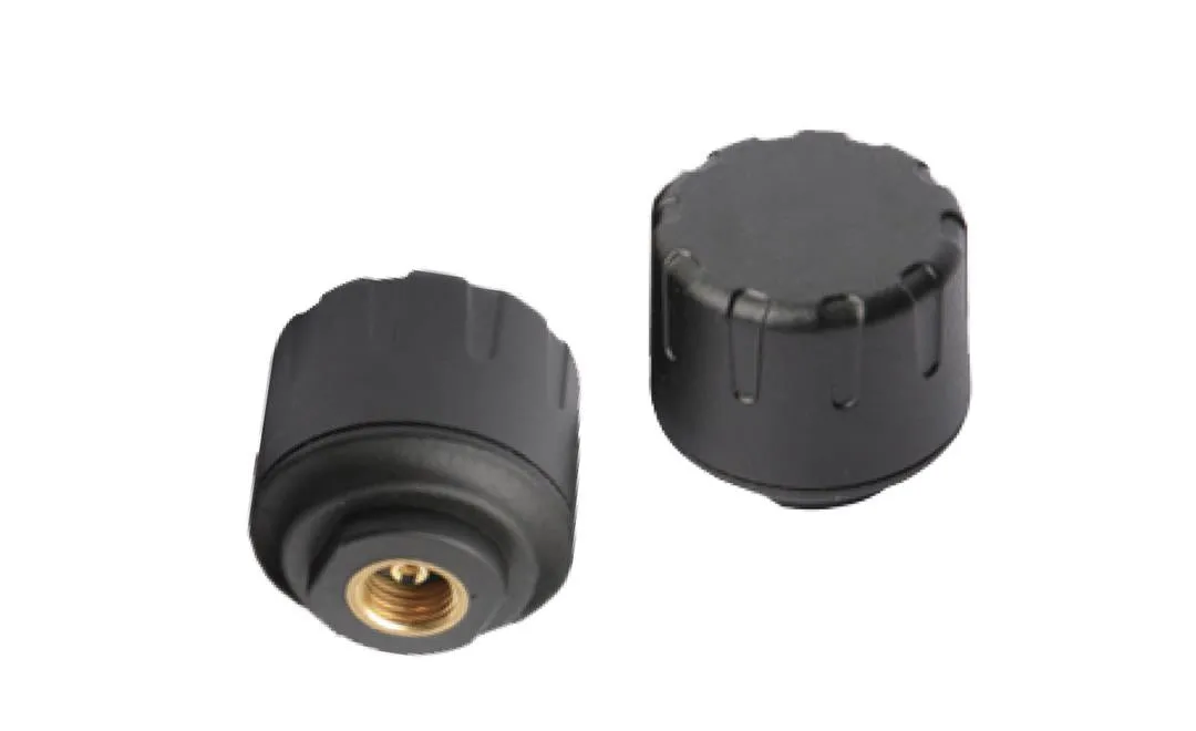 507 TPMS W/2 CAP SENSORS W/REPLACEA