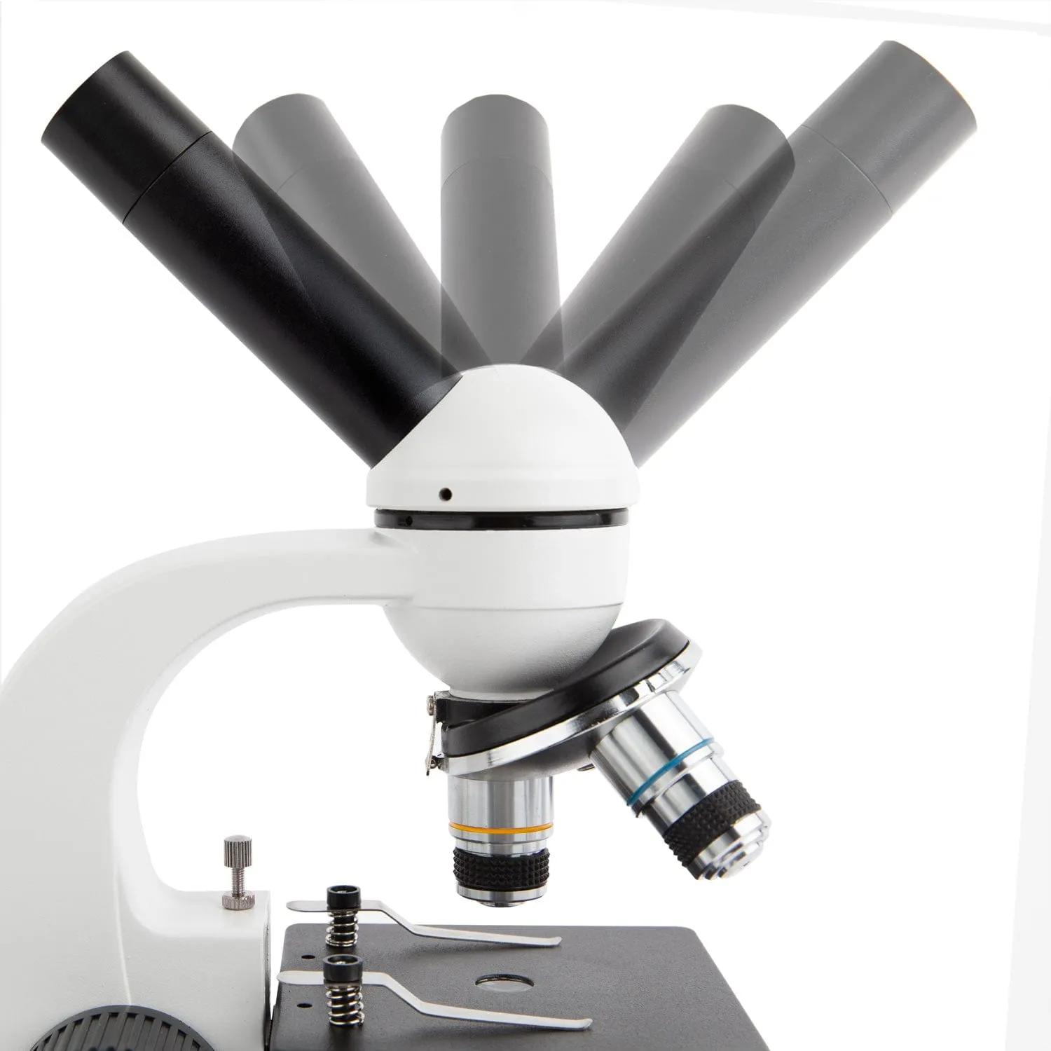 AmScope M158 Series Student Cordless Monocular Compound Microscope 40X-400X Magnification with Top & Bottom Lights, Metal Frame, Glass Lenses and Coarse & Fine Focus  Slides & Book