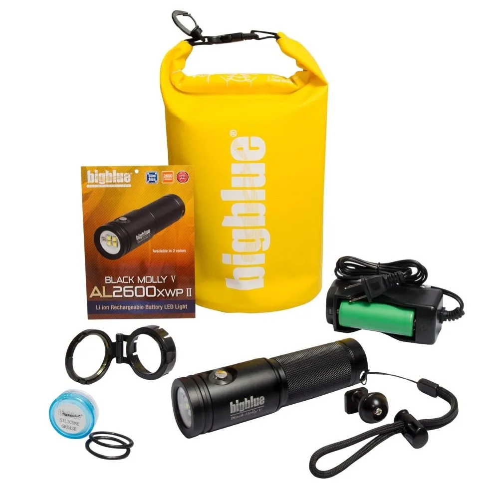 BigBlue 2600 Lumen Video Light