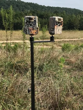 Field Mount