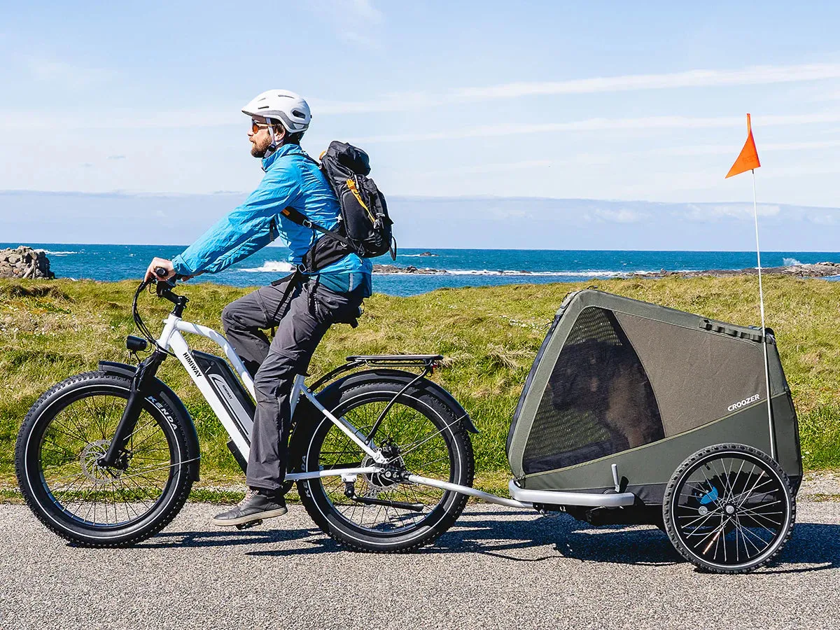 HIMIWAY Cruiser ST D3 750 w Step Thru Ebike 26x4 Fat Electric Fat Tire Mountain eBike