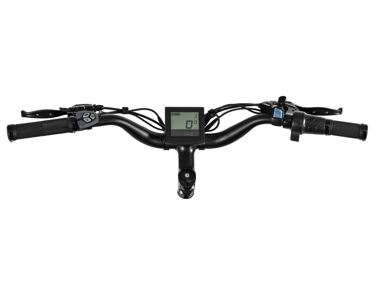 HIMIWAY Cruiser ST D3 750 w Step Thru Ebike 26x4 Fat Electric Fat Tire Mountain eBike