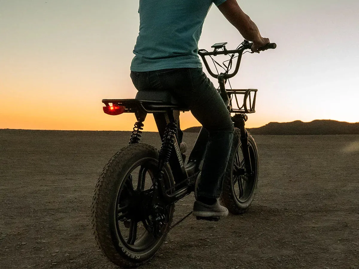 HIMIWAY Escape Pro 750 w Step Thru Ebike 20x4 Fat Electric e-Moto Style eBike
