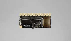 PI CAP