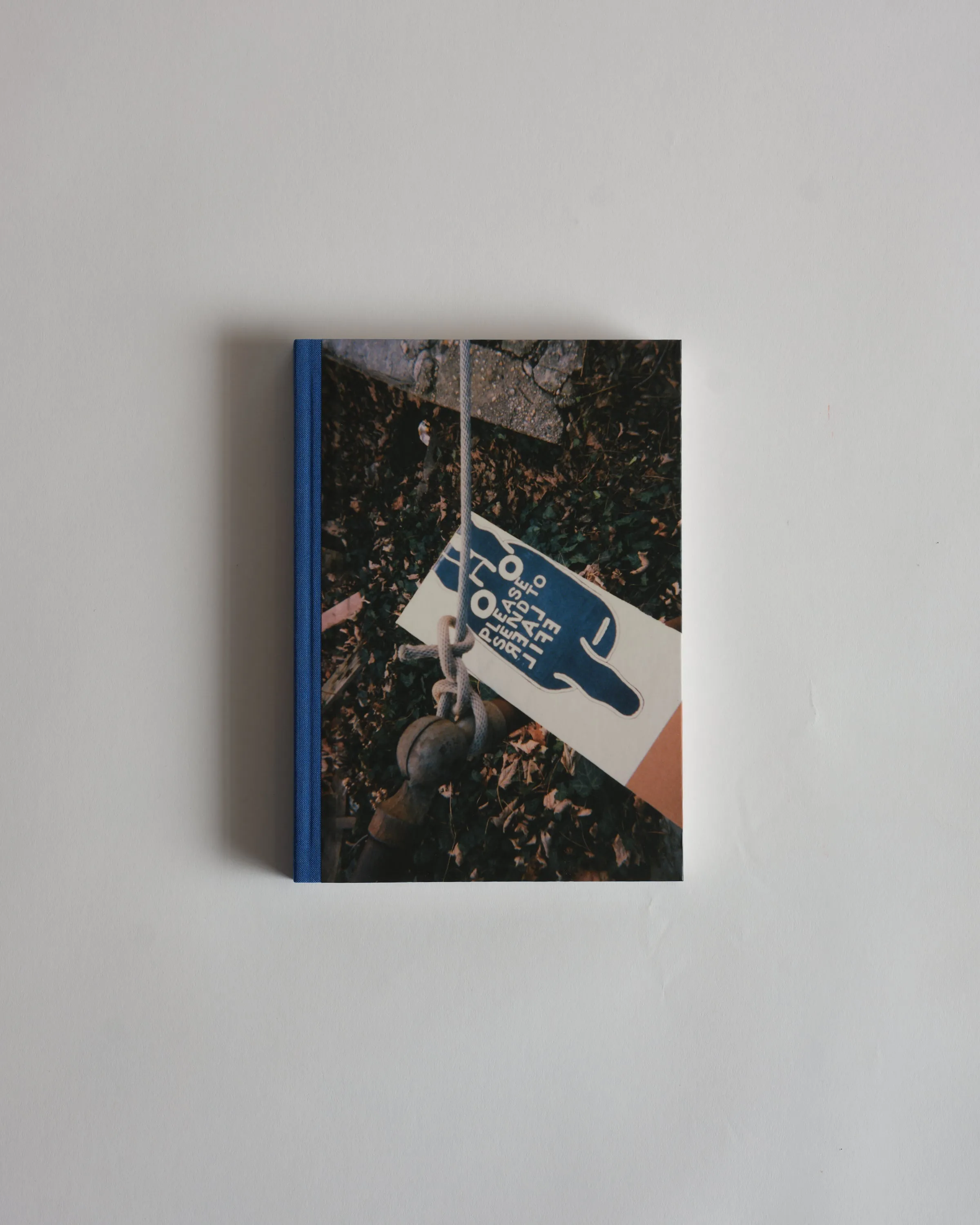 PLEASE SEND TO REAL LIFE: Ray Johnson Photographs