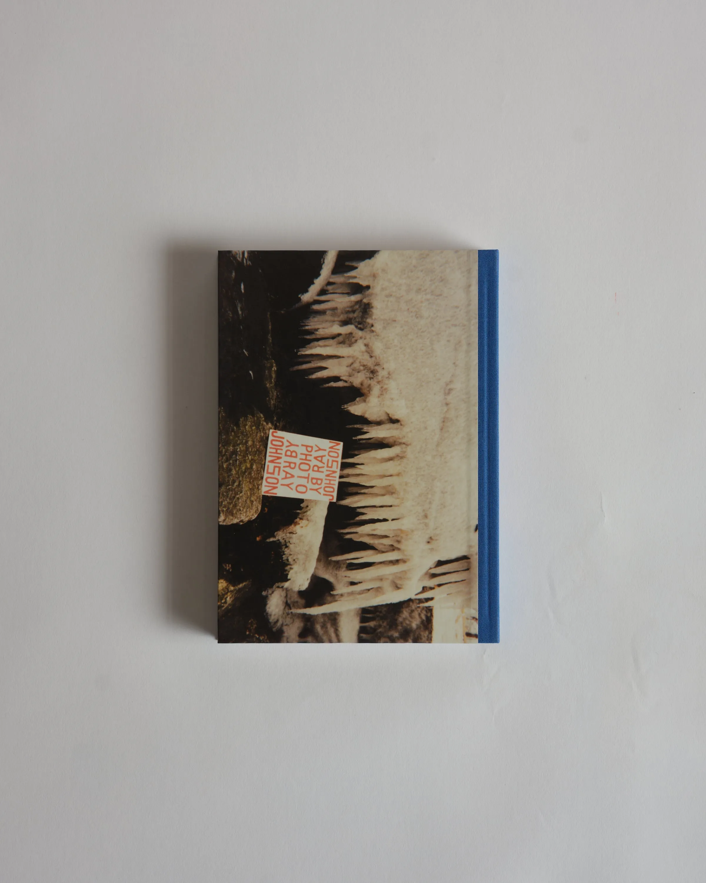 PLEASE SEND TO REAL LIFE: Ray Johnson Photographs