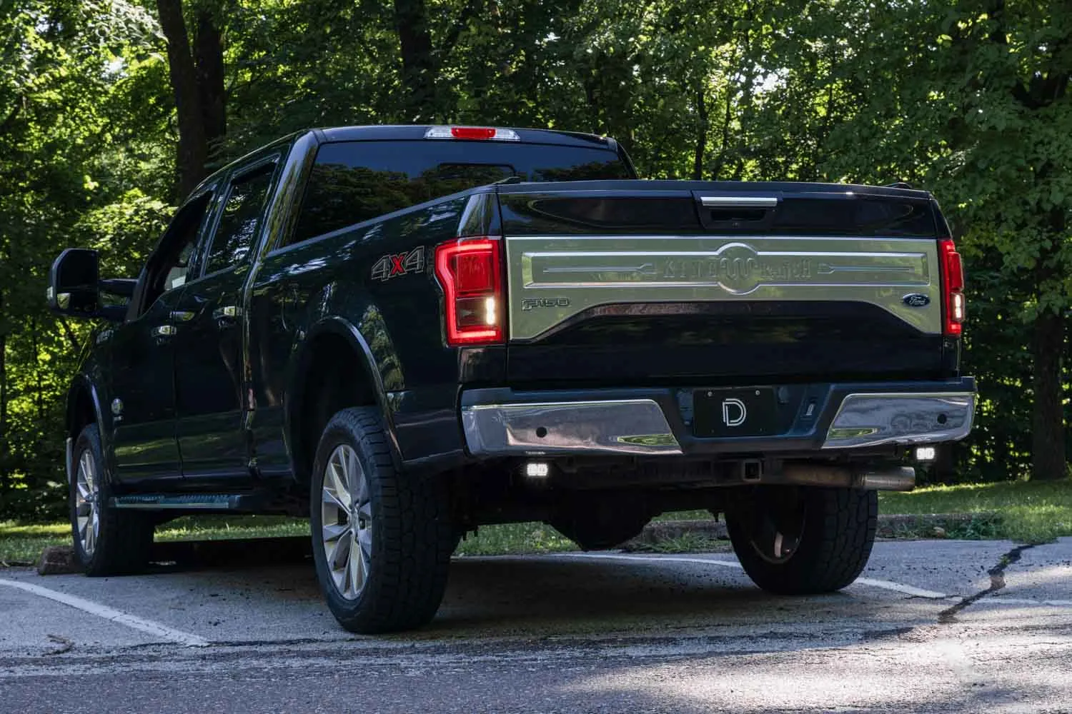 Stage Series Reverse Light Kit for 2015-2020 Ford F-150, C1 Pro Diode Dynamics