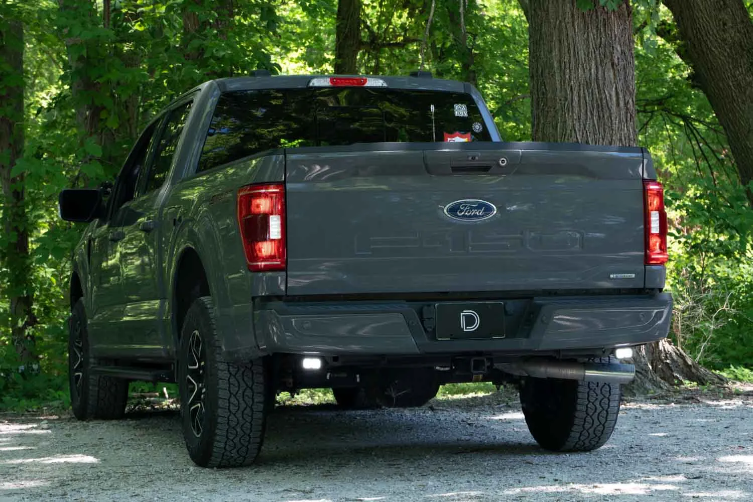 Stage Series Reverse Light Kit for 2021-2022 Ford F-150, C2 Pro Diode Dynamics