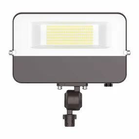 Westgate LFE 50W LED Flood Light with 1/2" Knuckle, CCT