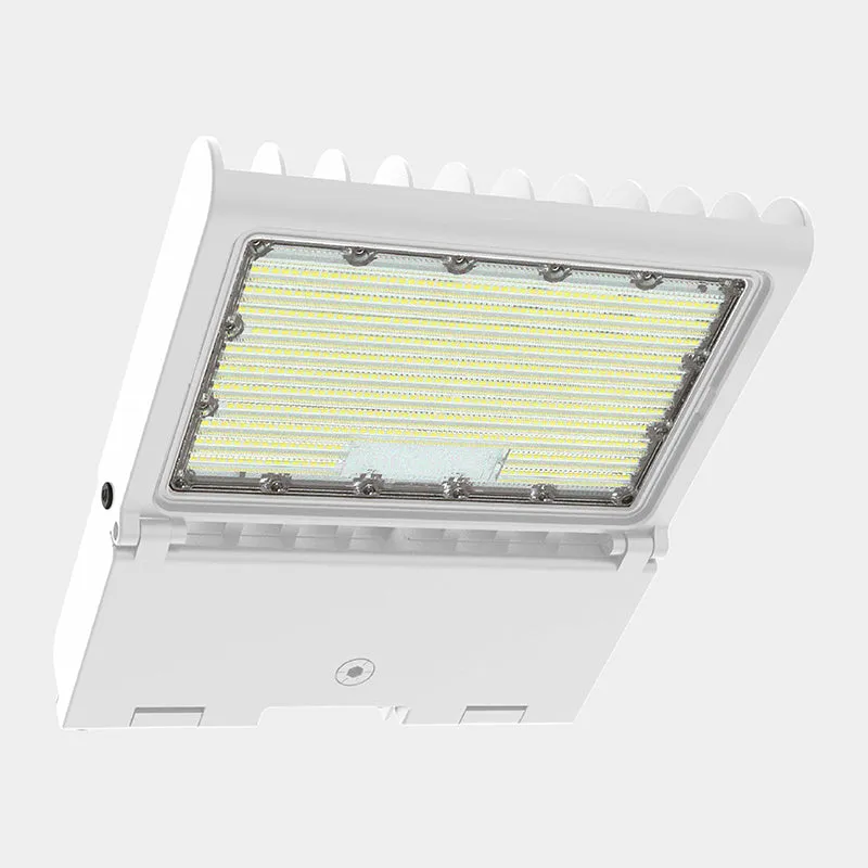 Westgate LFXPRO 50W/80W/100W/150W LED Flood Light, CCT