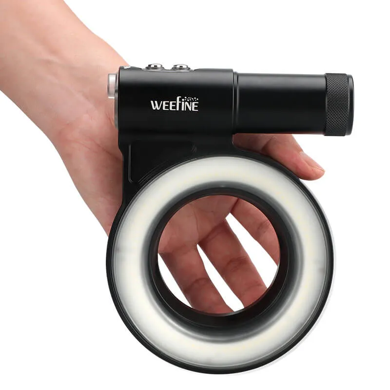 WF101 Ring Light 3000 V2 Video Light